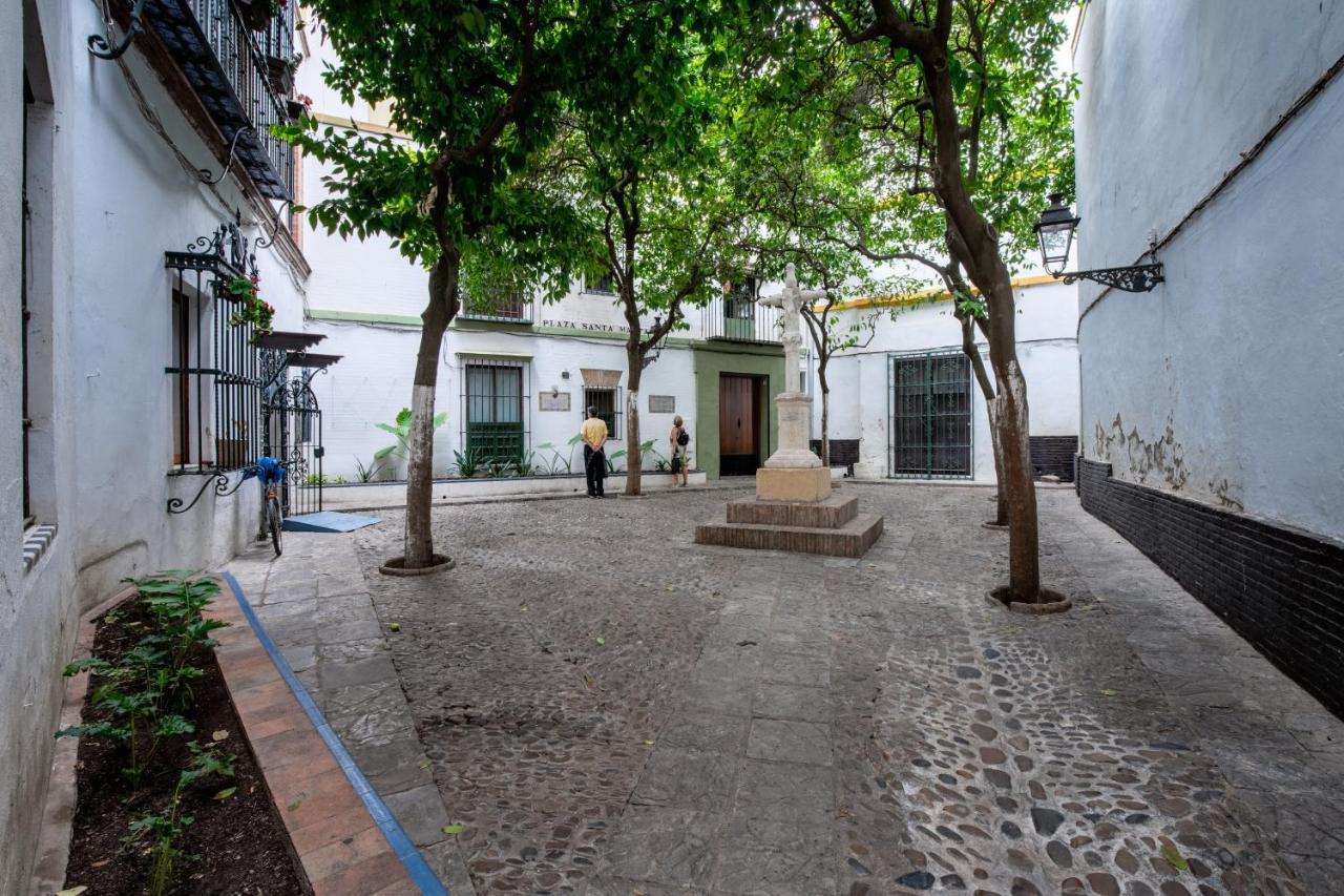 Appartamento Historic Building Cathedral *